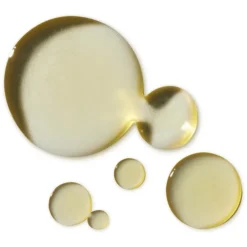 Sarah Chapman Skinesis Overnight Facial (15ml) 7 Sarah Chapman Skinesis Overnight Facial (15ml) -Wellagy Store 10448981 1884943595482973