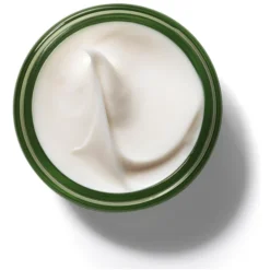 Origins A Perfect World™ Antioxidant Moisturiser With White Tea 50ml -Wellagy Store 11396744 4454608410964723