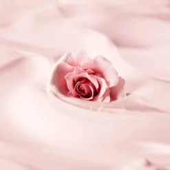 Laura Mercier Cleansing Oil 150ml 10 Laura Mercier Cleansing Oil 150ml -Wellagy Store 12444530 5604764741033996