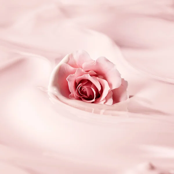 Laura Mercier Cleansing Oil 150ml 6 Laura Mercier Cleansing Oil 150ml - Image 4