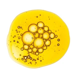 DISCIPLE Skincare Dreamy Skin Retinyl Oil 20ml -Wellagy Store 13310213 1914946453621688