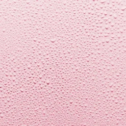 Fresh Rose Instant Hydration Mist 100ml -Wellagy Store 13632501 6174929901077585