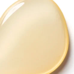 Fresh Kombucha Antioxidant Facial Treatment Essence 50ml 9 Fresh Kombucha Antioxidant Facial Treatment Essence 50ml -Wellagy Store 14265037 2145039735975238